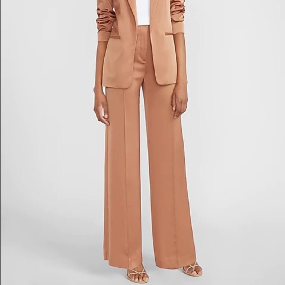Express High Waisted Pintuck Wide Leg Pant in Tan | Sz 6R